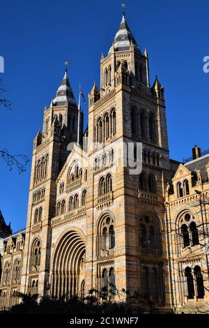 Natural History Museum, South Kensington, Londres Banque D'Images