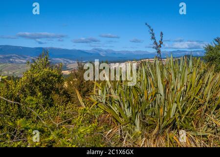 Vue depuis Cape Saddle Lookout, South Island, Nouvelle-Zélande Banque D'Images