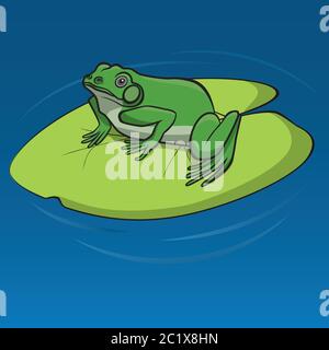 Grenouille verte assise sur la feuille d'eau dans l'étang Illustration de Vecteur