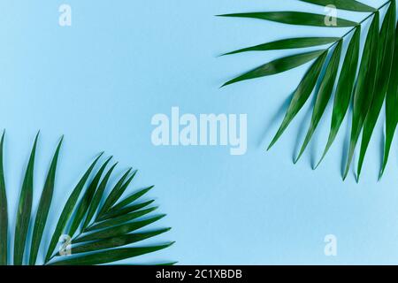 Cadre de bordure en feuilles vertes sur fond bleu pastel Banque D'Images
