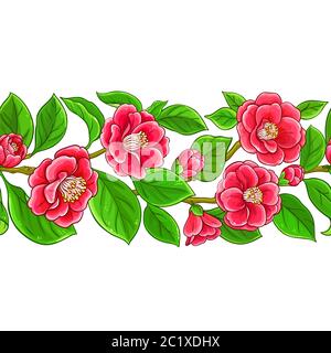 camellia branches motif vectoriel Illustration de Vecteur