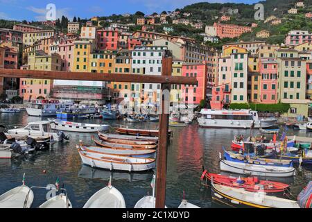 Port de pêche de Camogli Banque D'Images