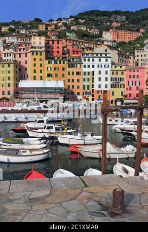 Port de pêche de Camogli Banque D'Images