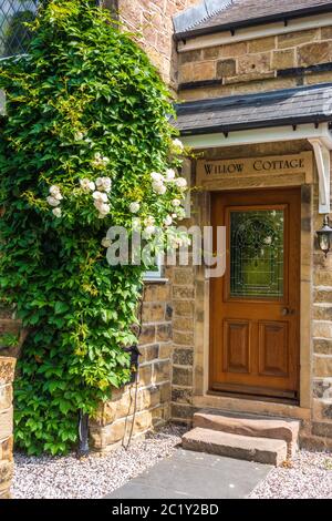 jolie porte d'entrée de cottage avec super-réducteur de virginie Banque D'Images