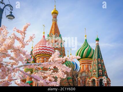 Moscou et la cathédrale Saint-Basil au printemps à travers l'arbre en fleurs Banque D'Images