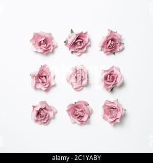 Fleurs roses sur fond blanc. Composition florale, pose plate, vue du dessus Banque D'Images