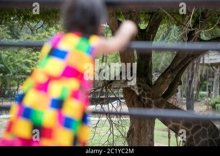 Bangkok. 16 juin 2020. Une fille visite le zoo ouvert de Khao Kheow dans la province de Chonburi en Thaïlande, le 16 juin 2020. Six zoos en Thaïlande rouvriront gratuitement pour les visiteurs du 15 au 30 juin. Credit: Zhang Keren/Xinhua/Alay Live News Banque D'Images