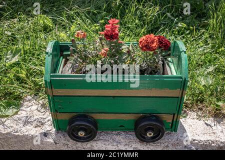 Fleurs rouges en pot de fleurs comme un wagon dans le jardin, un jour d'été. Jardinage et décoration naturelle concept. Gros plan, mise au point sélective Banque D'Images