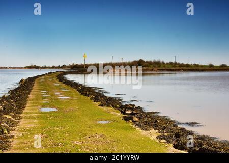 La chaussée à l'île de Northey près de Maldon, Essex, Royaume-Uni Banque D'Images