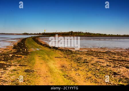 La chaussée à l'île de Northey près de Maldon, Essex, Royaume-Uni Banque D'Images