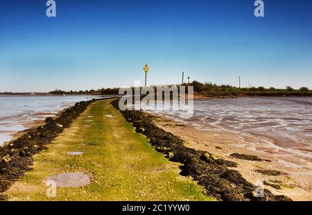 La chaussée à l'île de Northey près de Maldon, Essex, Royaume-Uni Banque D'Images