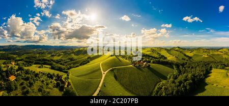 Vignobles de styrie du Sud paysage panoramique aérien. Vue sur les collines de raisin depuis la rue des vins en été. Banque D'Images