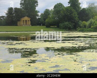 Vue sur les nénuphars et les algues dans le lac Octagon, sur le terrain paysagé de Stowe, une propriété du National Trust à Buckinghamshire, juin 2020. Banque D'Images