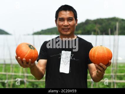 Chongqing. 16 juin 2020. Un agriculteur présente des citrouilles à la base de plantation de légumes du village de Laojunshan, dans le district de Yubei, dans la municipalité de Chongqing, dans le sud-ouest de la Chine, le 16 juin 2020. En utilisant ses avantages géographiques et ses conditions naturelles, le village de Laojunshan a développé avec vigueur ces dernières années l'industrie végétale alpine, afin d'aider les villageois environnants à trouver un emploi près de leur domicile et à augmenter leurs revenus. Crédit : Wang Quanchao/Xinhua/Alay Live News Banque D'Images