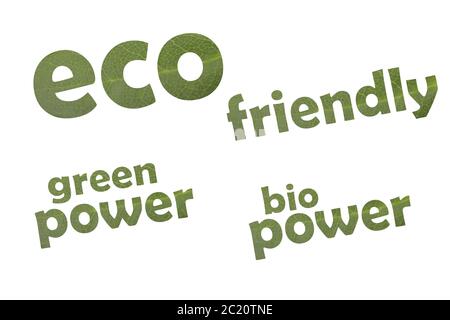 La collection de mots-clés eco friendly, l'énergie verte et de l'alimentation bio sur une feuille verte Banque D'Images