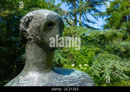 Parc de sculptures UEA HENRY MOORE Drapé femme inclinable, 1957–58 Banque D'Images