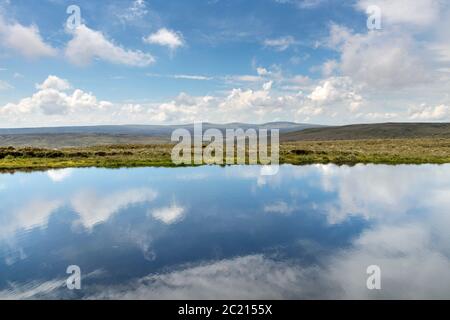 Tarn sur la Great Stony Hill avec la vue vers la grande chute de Dun, Little Dun Fell et Cross Fell, North Pennines, Upper Teesdale, Comté de Durham, Royaume-Uni Banque D'Images