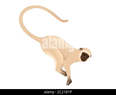 Adorable singe vervet beige singe avec visage marron dessin animé animal dessin vectoriel plat illustration isolée sur fond blanc Illustration de Vecteur