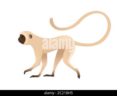 Adorable singe vervet beige singe avec visage marron dessin animé animal dessin vectoriel plat illustration isolée sur fond blanc Illustration de Vecteur