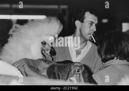 Propriétaire de chien nerveux avec une cigarette attendant d'être appelé pour son chien standard à être jugé au spectacle de chiens Crufts. Earls court. Londres. Vers 1989 Banque D'Images