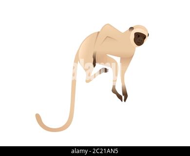 Adorable singe vervet beige singe avec visage marron dessin animé animal dessin vectoriel plat illustration isolée sur fond blanc Illustration de Vecteur