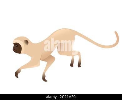 Adorable singe vervet sautant vers le haut singe beige avec visage marron dessin animé animal dessin vectoriel plat illustration isolée sur fond blanc Illustration de Vecteur