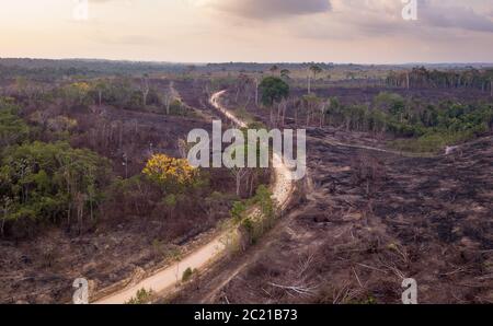 Vue aérienne par drone de la déforestation sur une ferme avec brûlage illégal d'arbres forestiers pour faire des pâturages pour le bétail dans la forêt amazonienne, Para, Brésil. Banque D'Images