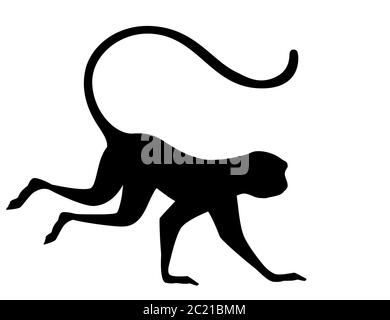 Silhouette noire mignon singe vervet dessin animé animal dessin vectoriel plat illustration isolée sur fond blanc Illustration de Vecteur