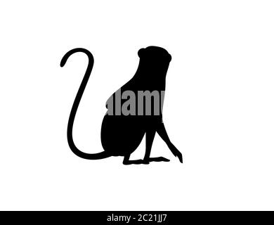 Silhouette noire mignon singe vervet dessin animé animal dessin vectoriel plat illustration isolée sur fond blanc Illustration de Vecteur