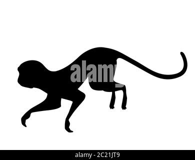 Silhouette noire mignon singe vervet dessin animé animal dessin vectoriel plat illustration isolée sur fond blanc Illustration de Vecteur