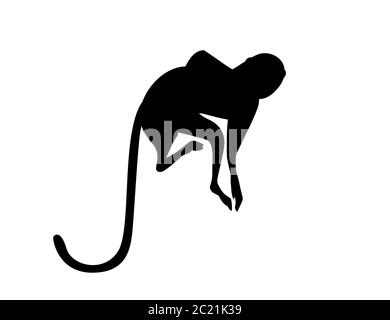 Silhouette noire mignon singe vervet dessin animé animal dessin vectoriel plat illustration isolée sur fond blanc Illustration de Vecteur