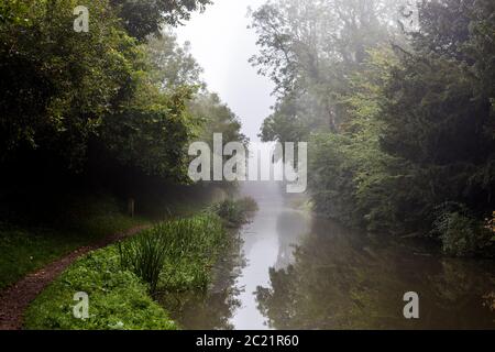Paysage de canal brumeux sur le canal de Grand Union Banque D'Images