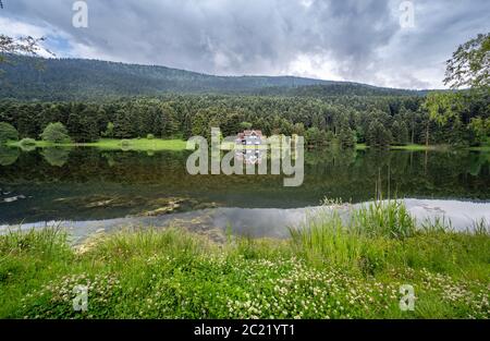 Maison en bois de lac à l'intérieur de la forêt dans le parc national de Bolu Golcuk, Bolu. Banque D'Images