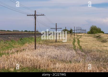 Le fil électrique dans le paysage du Canada Banque D'Images