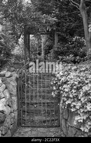 Image noire et blanche d'une porte de jardin en métal et d'escaliers qui mènent à travers des arbustes et des arbres Banque D'Images