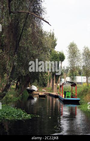 L'île des poupées (la Isla de las Muñecas) les petites îles du lac Xochimilco, Mexico, Mexique Banque D'Images