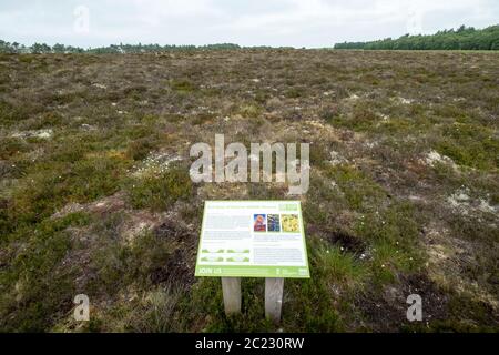 La réserve naturelle de la Moss Rouge de Balerno, dans le parc régional des collines de Pentland, est un site d'intérêt scientifique spécial (SSSI). Banque D'Images