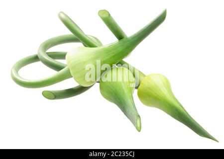 Bords de l'ail (Allium sativum), isolé Banque D'Images