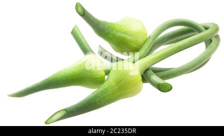 Bords de l'ail (Allium sativum), isolé Banque D'Images