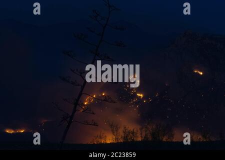 Le 12 juin 2020, le feu de Bighorn a été une arnaque dans les canyons et les contreforts des montagnes Santa Catalina de Oro Valley, Tucson, Arizona, qui a causé des évacuations Banque D'Images