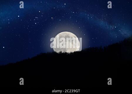 Lever de lune au-dessus de la forêt dans un ciel étoilé Banque D'Images