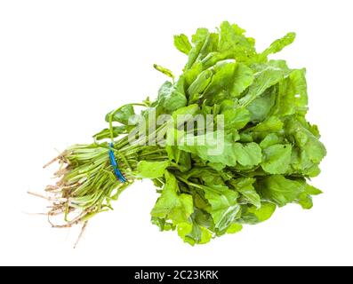 Botte de cresson (tsitsmati caucasienne vert) herb isolé sur fond blanc