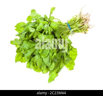 Botte de cresson frais (tsitsmati caucasiens) herb isolé sur fond blanc