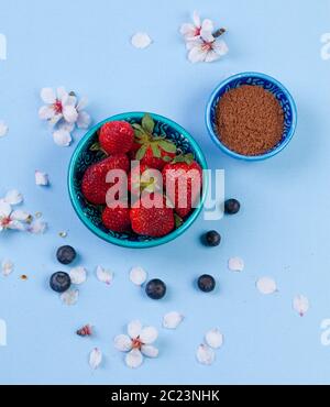 Fraises fraîches dans un bol, avec des bleuets et des fleurs de printemps sur fond bleu clair Banque D'Images