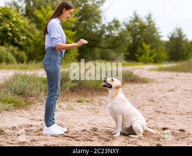 Fille donnant un commandement à son chien obéissant Banque D'Images