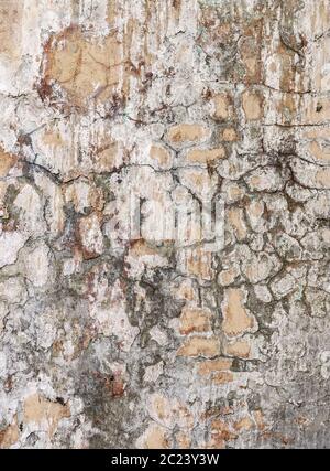 Peinture ancienne fissurée sur le mur en béton. Peinture écaillée sur la texture du mur. Motif de matériau de grunge bleu rustique Banque D'Images