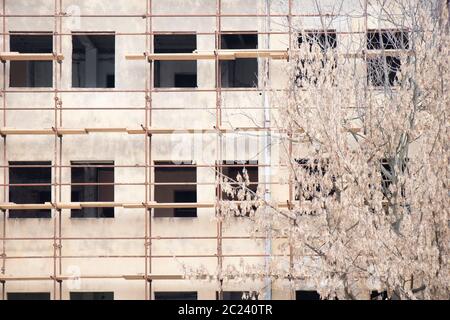 Échafaudage sur la façade du bâtiment sous reconstruction et arbre sec Banque D'Images