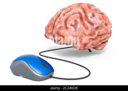 Cerveau avec souris d'ordinateur, rendu 3D isolé sur fond blanc Banque D'Images
