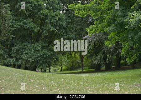 HUMBERG ,ALLEMAGNE- 11 juin 2018 , Alsterwiese Schwanenwik pack et bon endroit populaire en Allemagne Banque D'Images