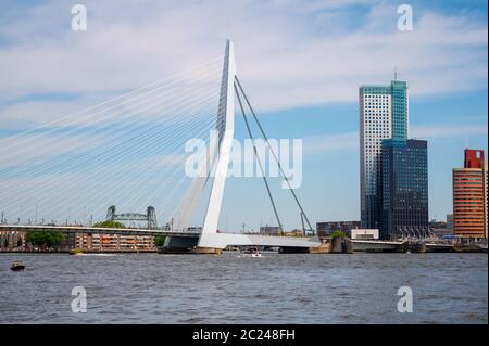 Pont suspendu Erasmus au-dessus de Nieuwe Maas à Rotterdam, pays-Bas Banque D'Images